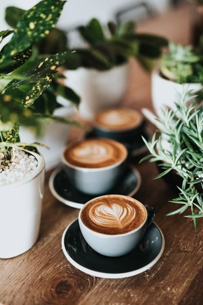 Espresso / cortado