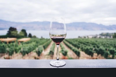 Sauvignon Blanc