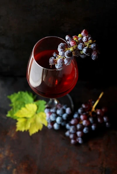 Tannat – Merlot